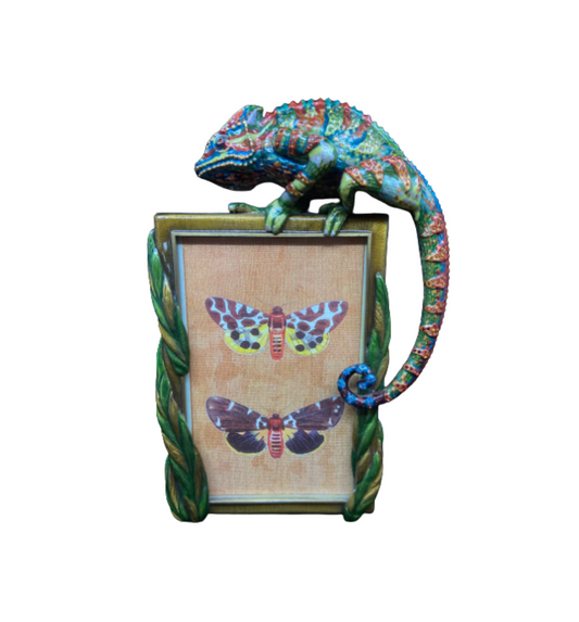 Jay Strongwater Chameleon Enameled Frame (CB4NHS)