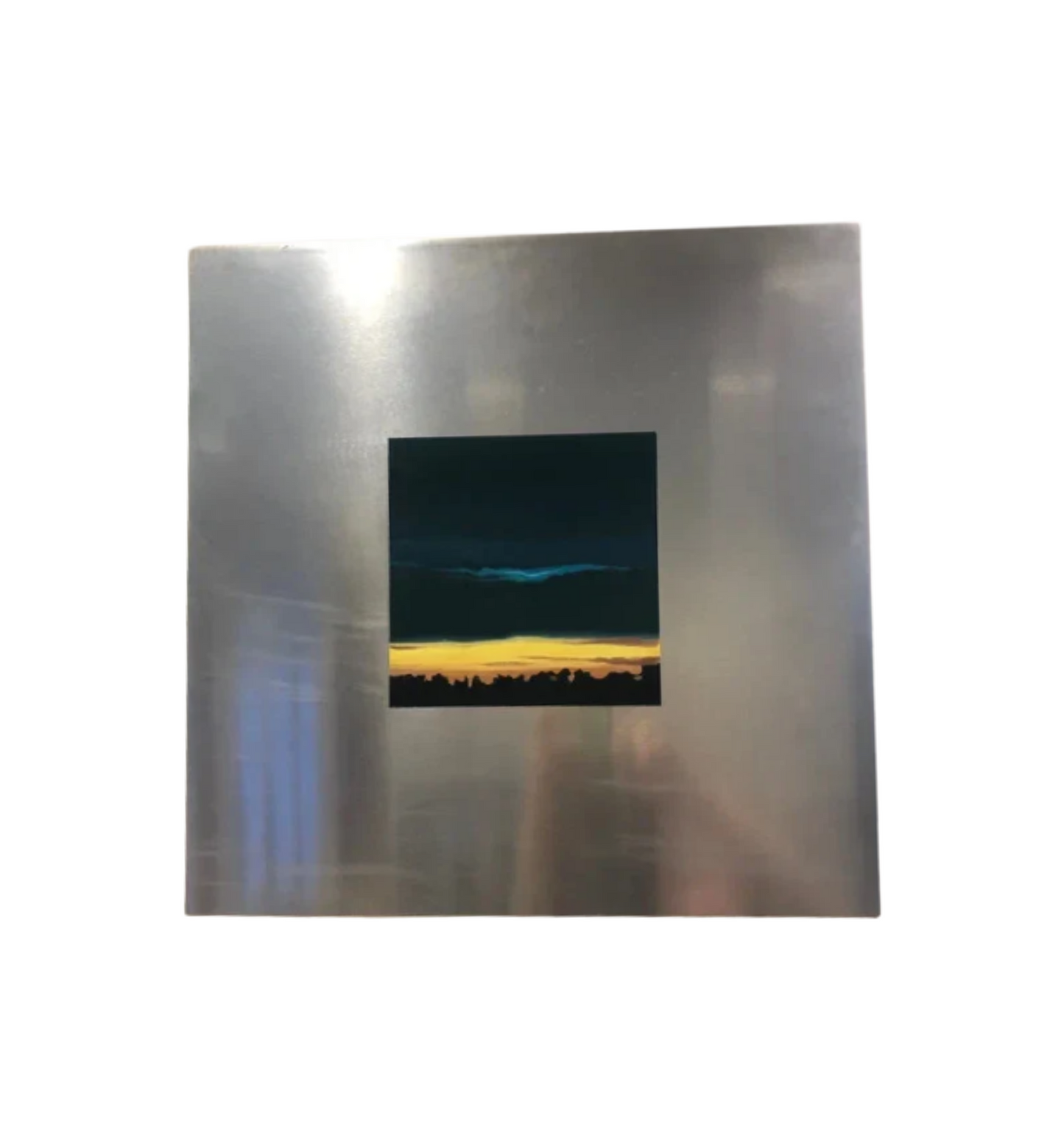 Mai Wyn Schantz (American, 2003-present) Oil on Stainless Steel (20768)