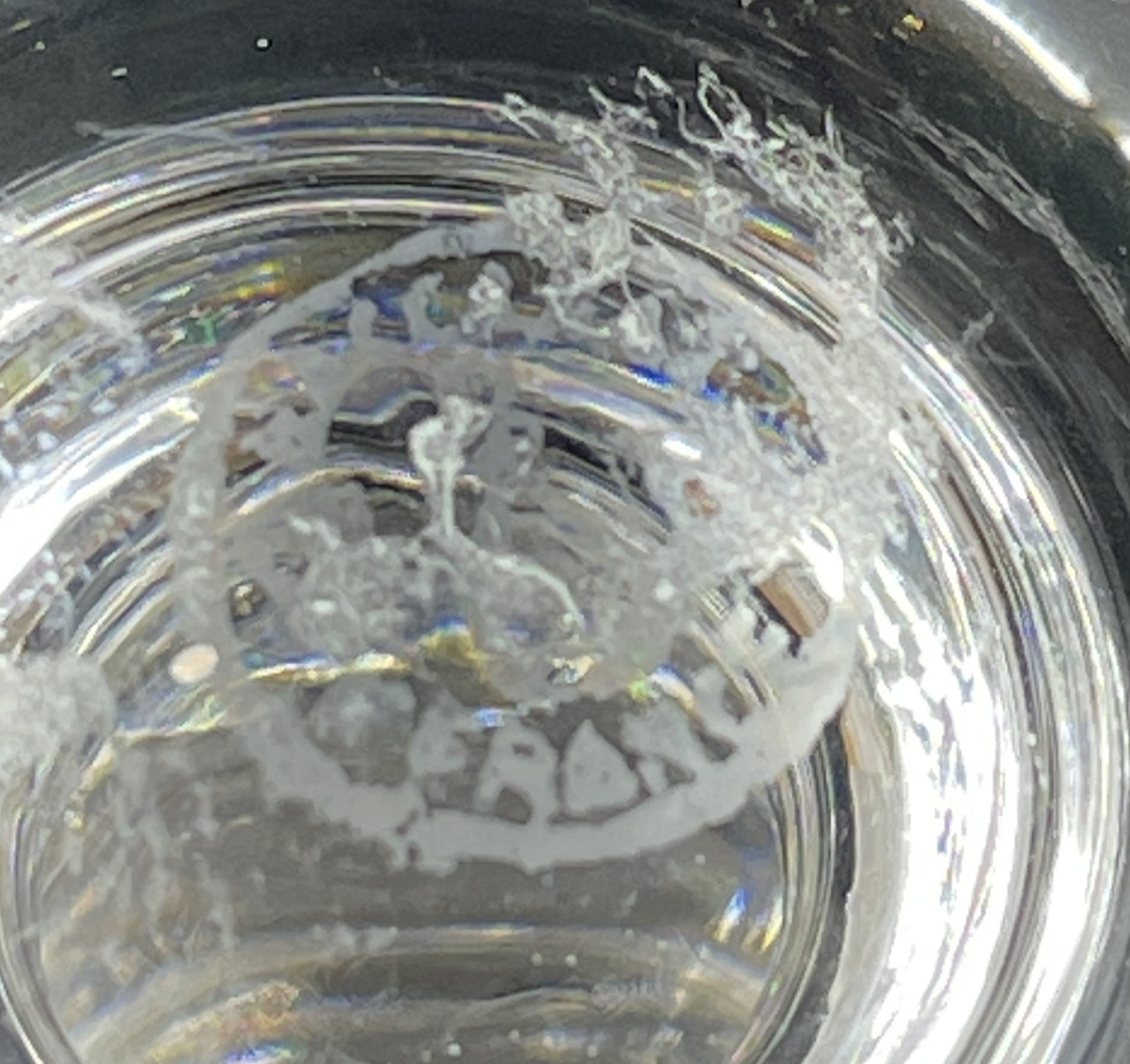 Baccarat Provence Claret Wine Glass (Nine available) (0J1003)