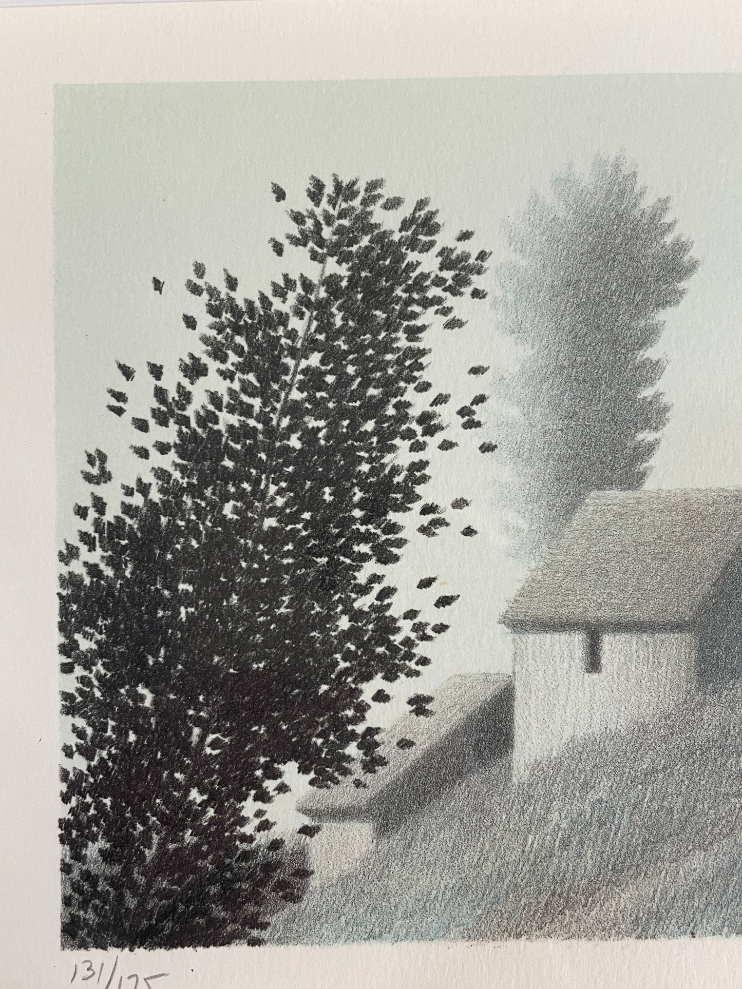 Kipness Hillside Breezes 131/175 (025001)