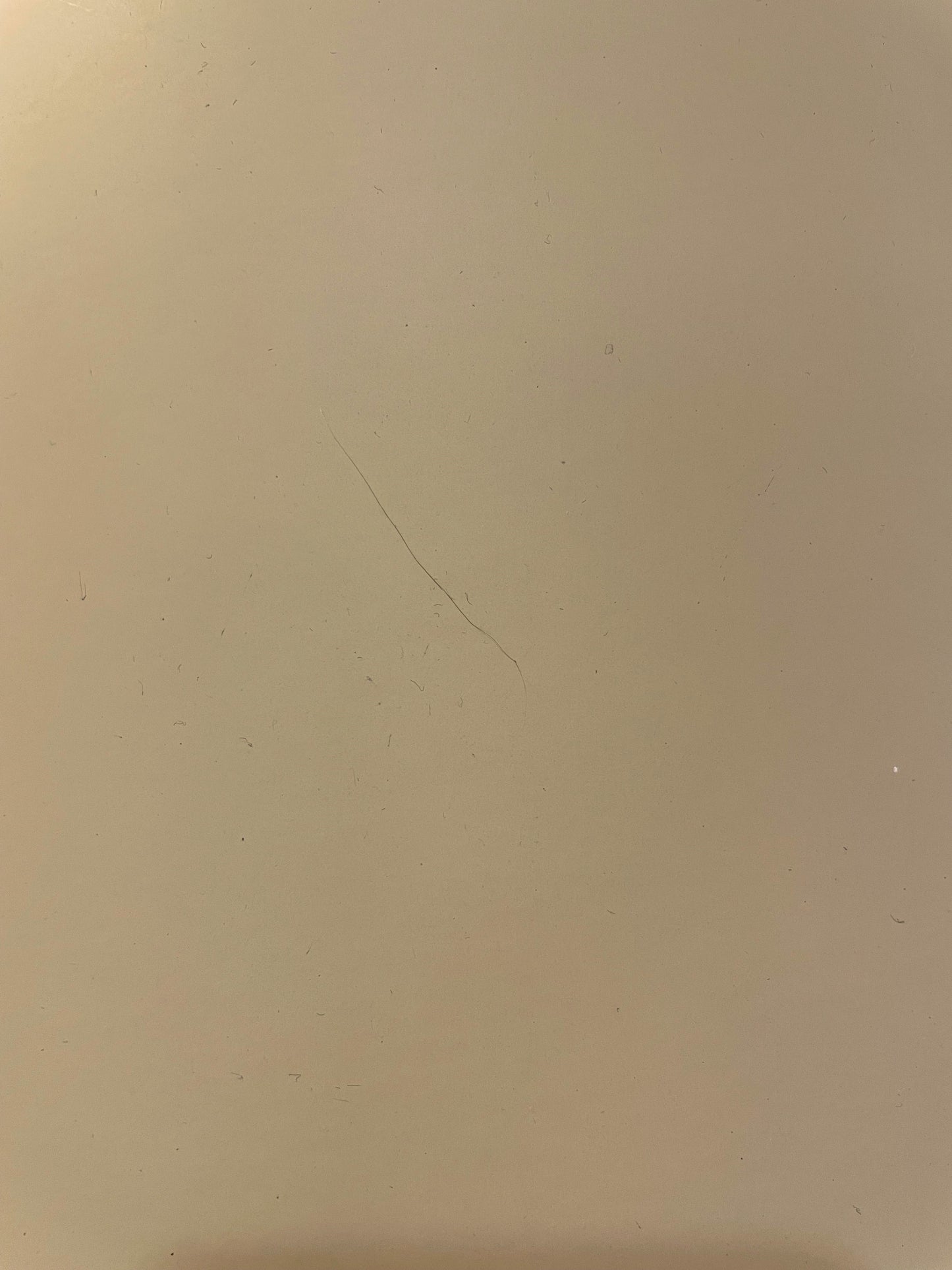 Pair of Chapman Nickel Column Lamps (7K4PPL)