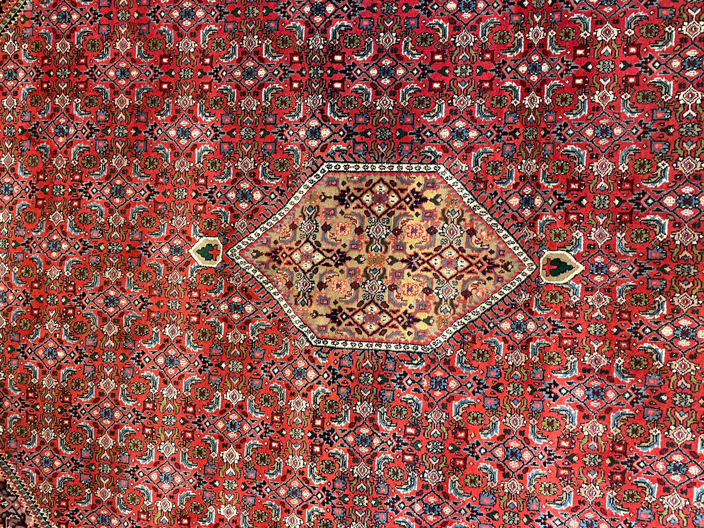 HK Turkish 13.5x9.11 Rug (0EG009)