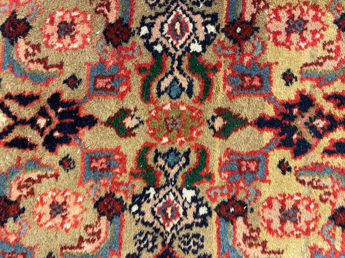 HK Turkish 13.5x9.11 Rug (0EG009)