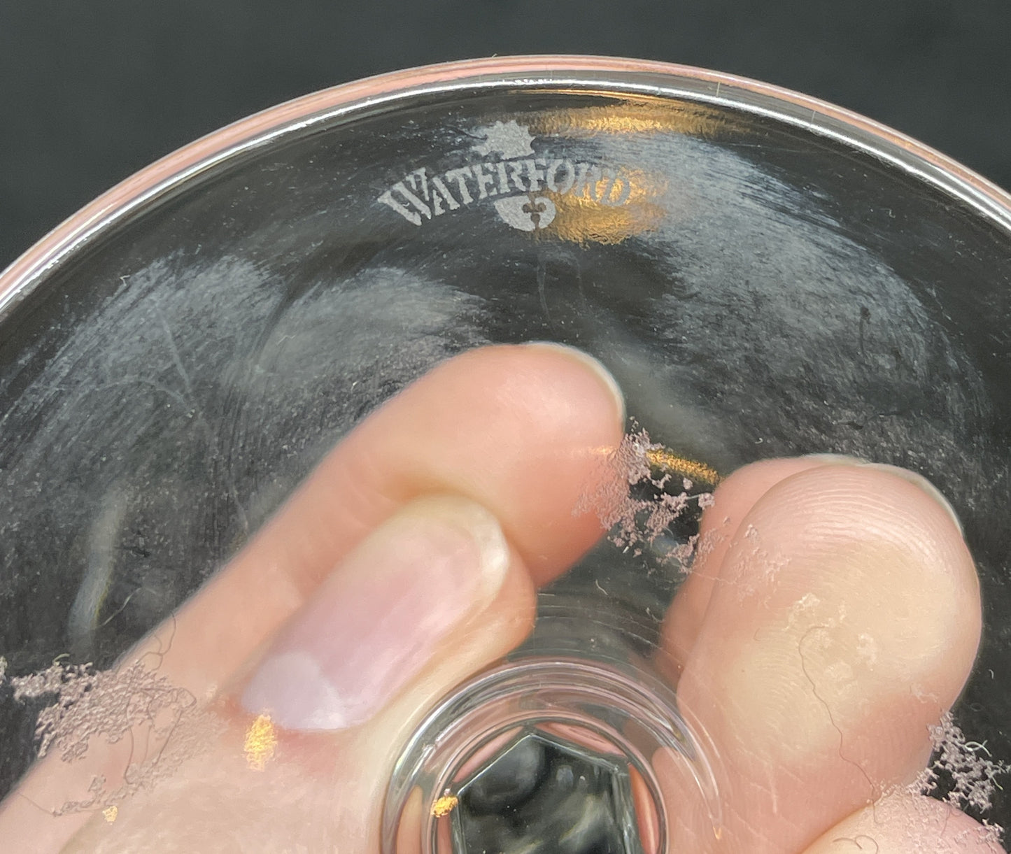 Waterford Five Toasts Champagne Flute (0NI007)