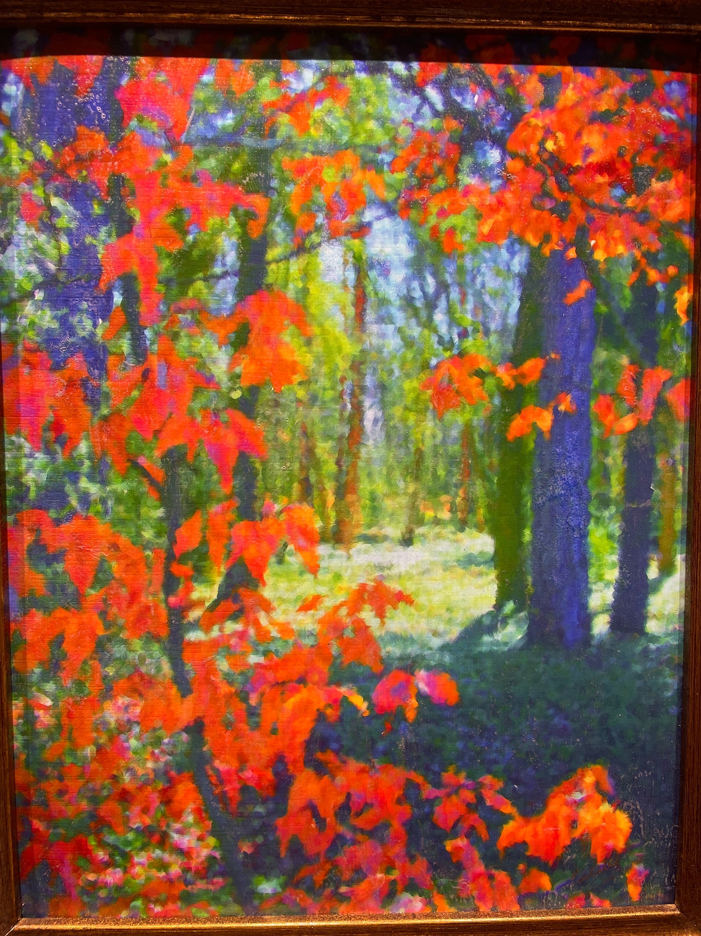 Giclee Photograph of Maple Trees signed Paulette