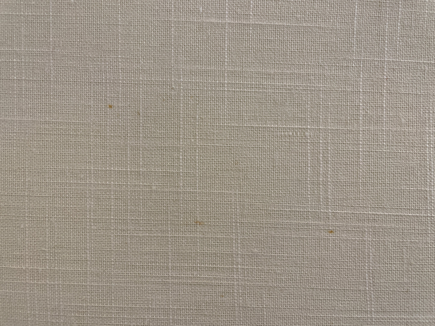 Pair of Silvered Antler Lamps (01B011)