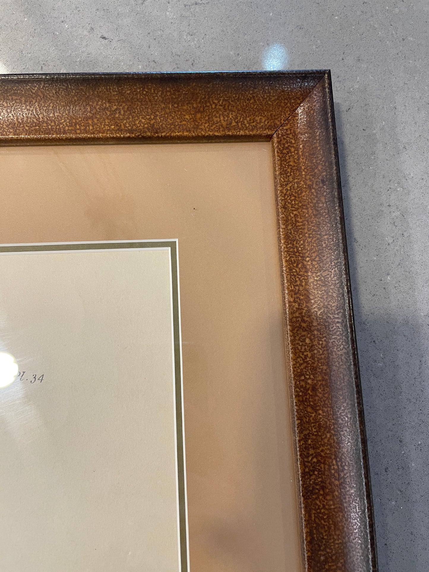 I&J Taylor Copperplate Folio Reproduction Print, Side Board (03T00A)