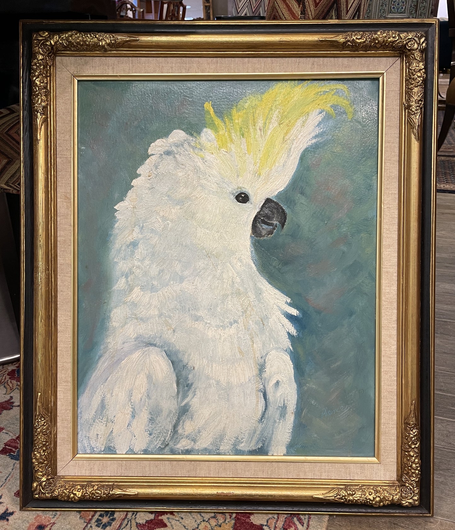 Pierce Oil on Board Cockatoo (0GF00T)
