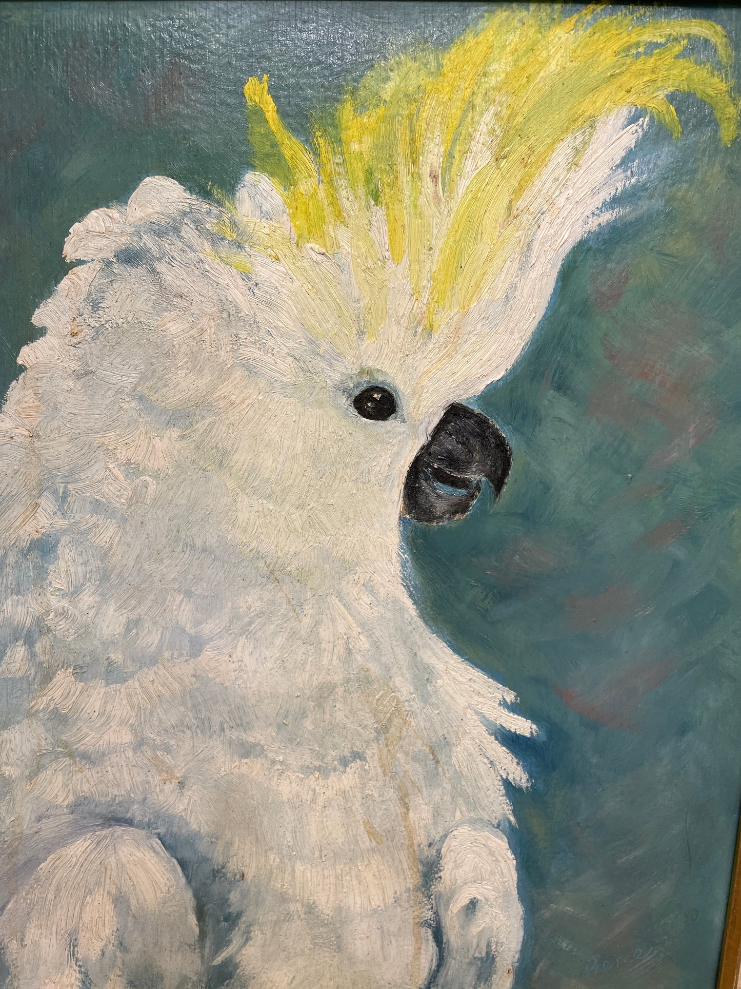 Pierce Oil on Board Cockatoo (0GF00T)