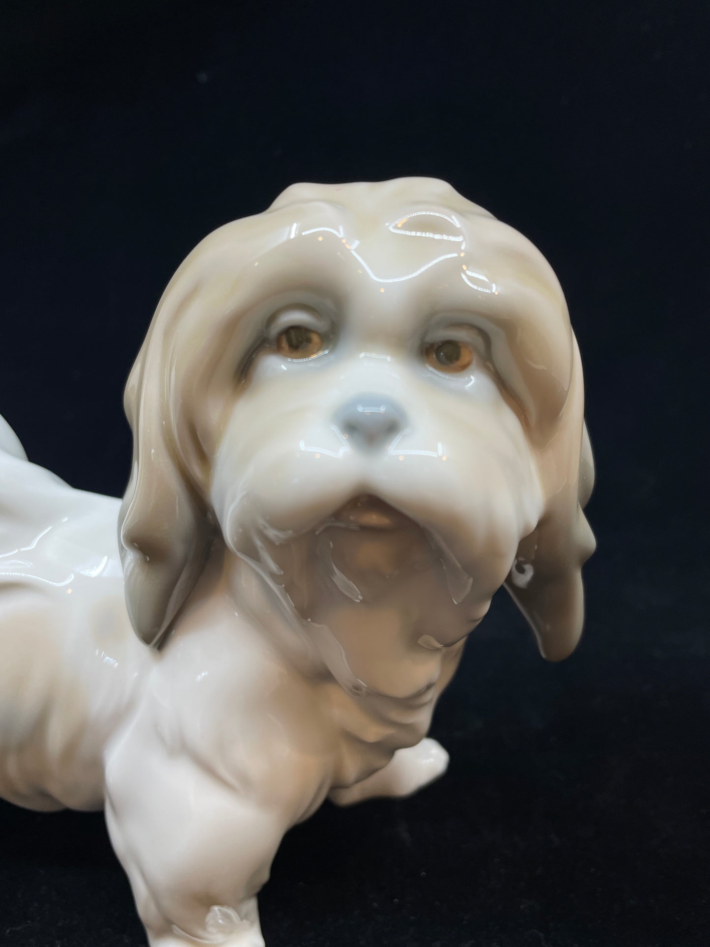Lladro Lhasa Apso Dog Figurine 4642