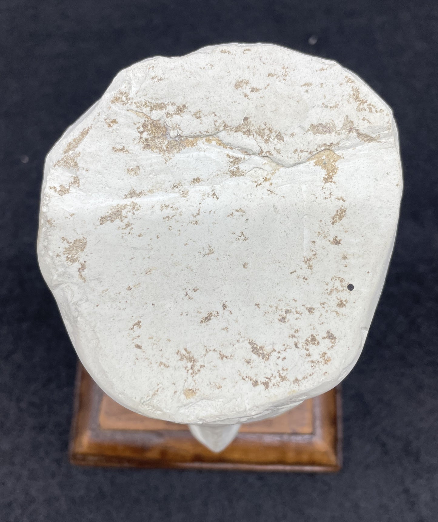 Balinese Stone Head (05B00I)