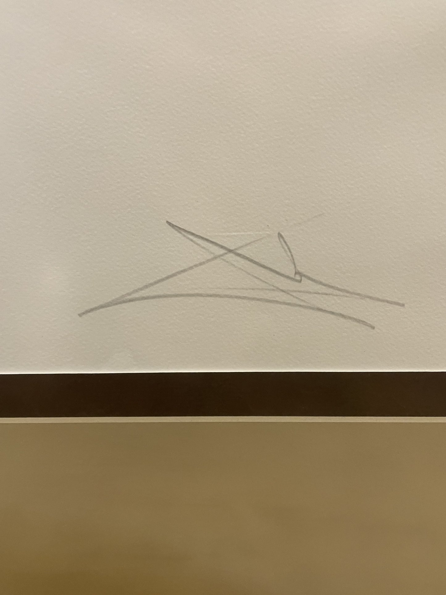 Salvador Dali "The Lady from Dulcinea" Framed Etching (CZ9C78)