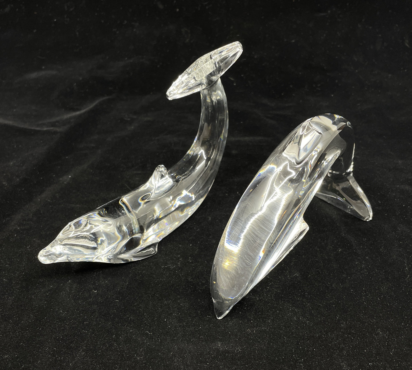 Pr. Baccarat Dolphins (0I000A)