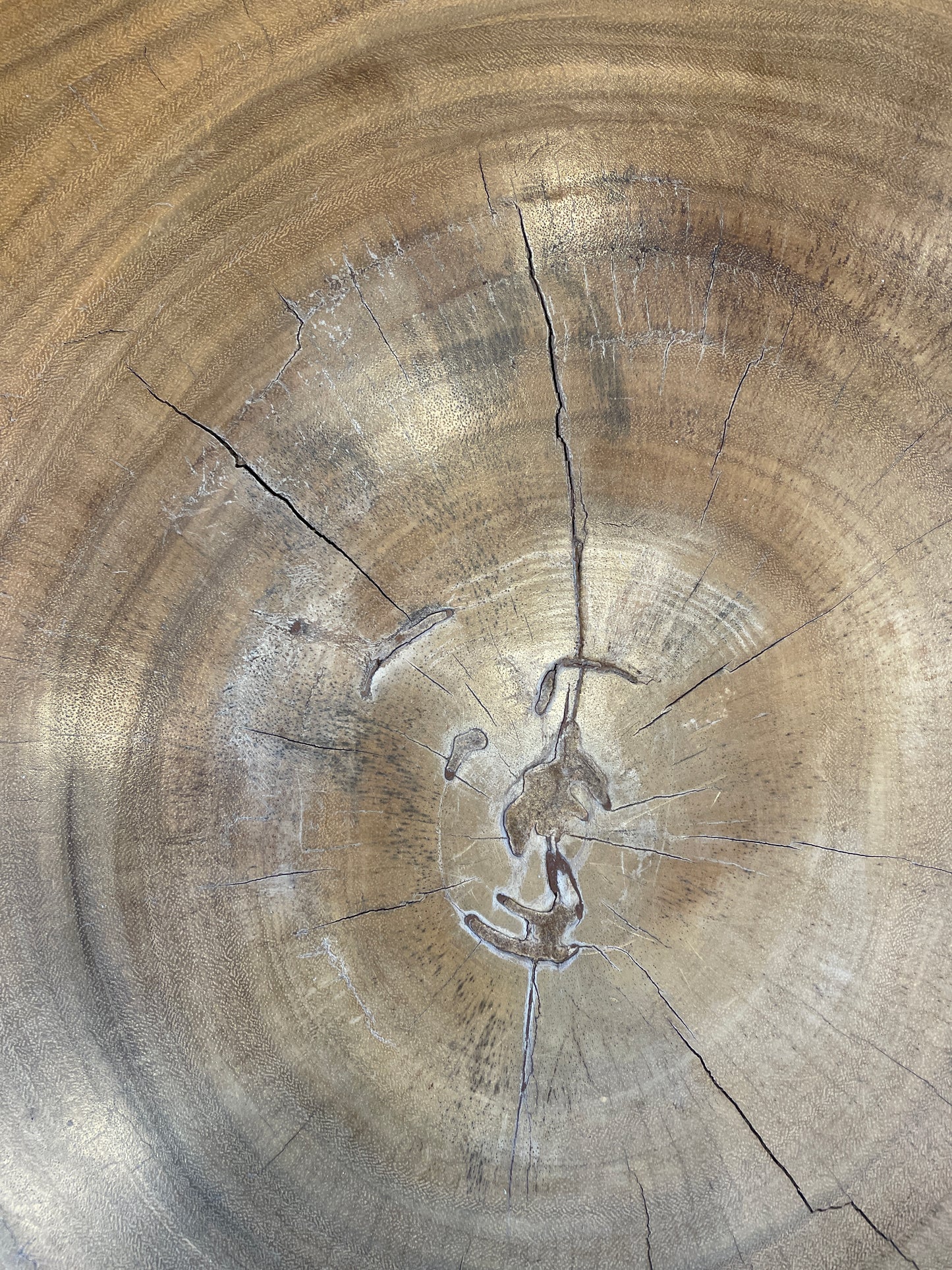 Bo Tree Source Tamarine Block Table, AS IS (0HV00B)