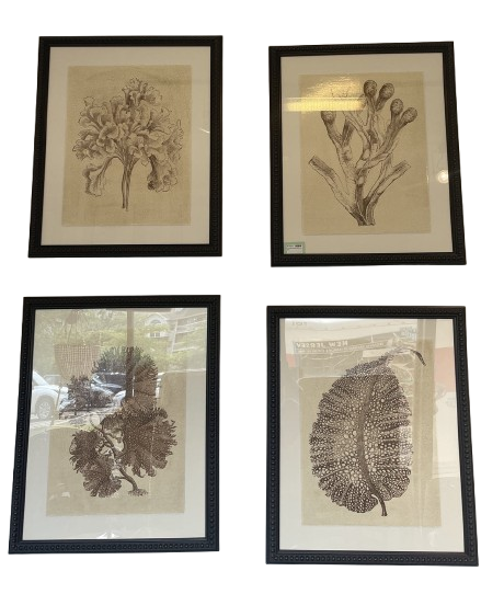 CAI Botanical Style prints, set of 4 (0E6008)