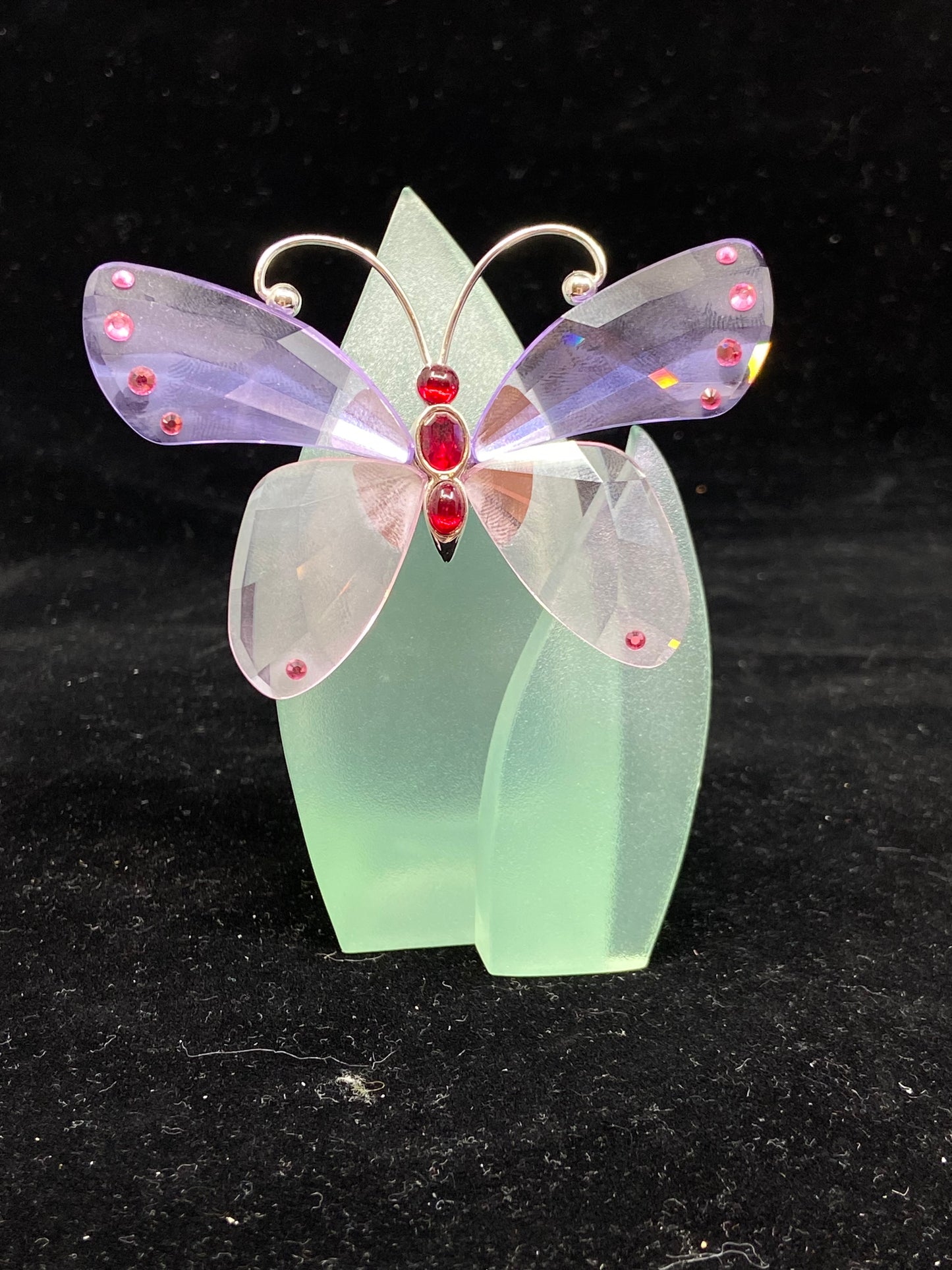Swarovski Acara Violet Butterfly on Acrylic Leaf Display (Q5GU34)