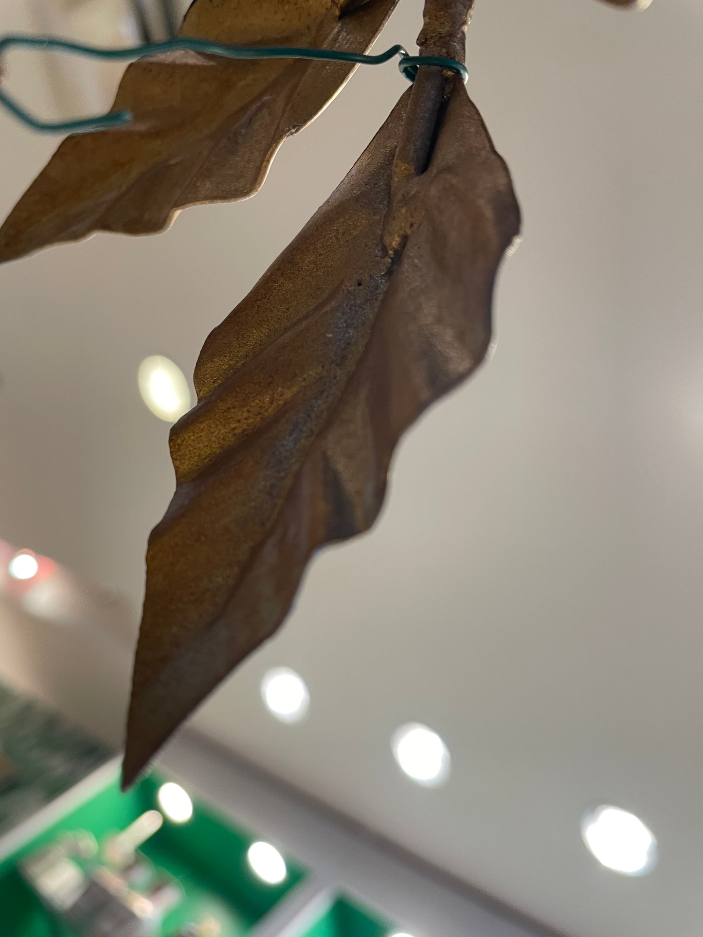 Jay Strongwater Ornament Tree (0IK013)