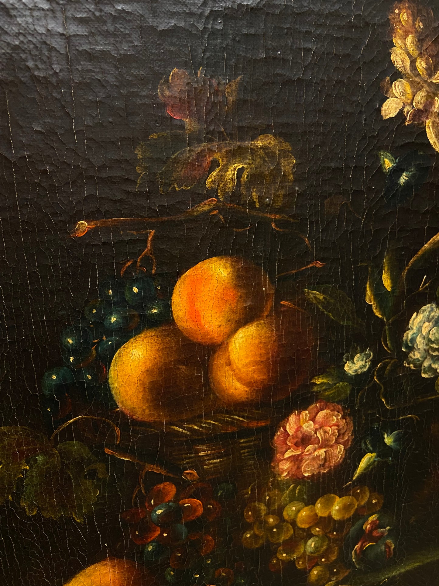 Picoh Fruit Still Life (25980)