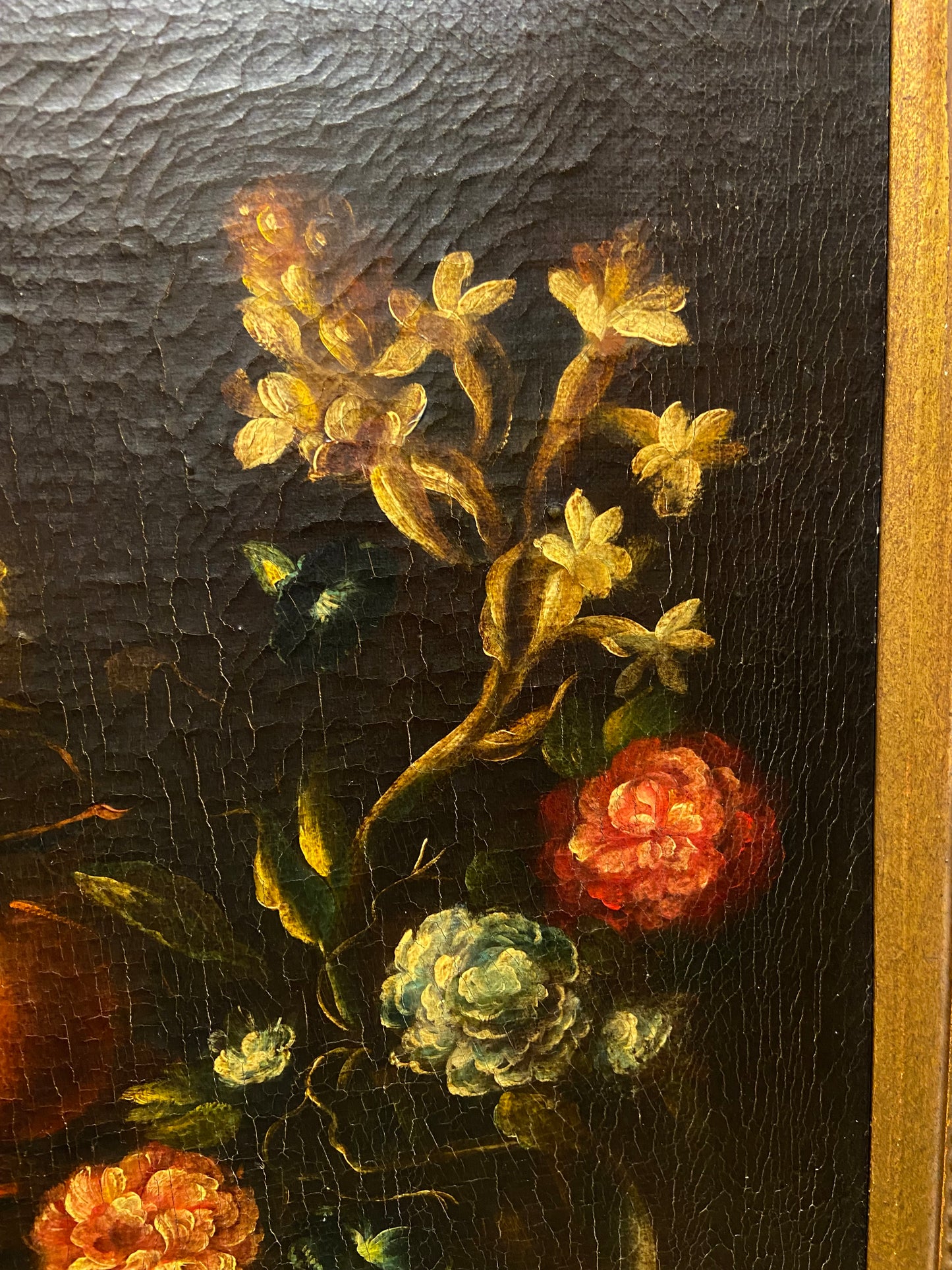 Picoh Fruit Still Life (25980)