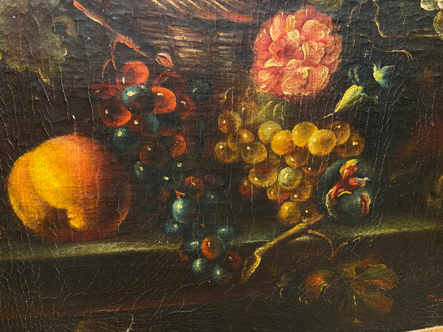 Picoh Fruit Still Life (25980)