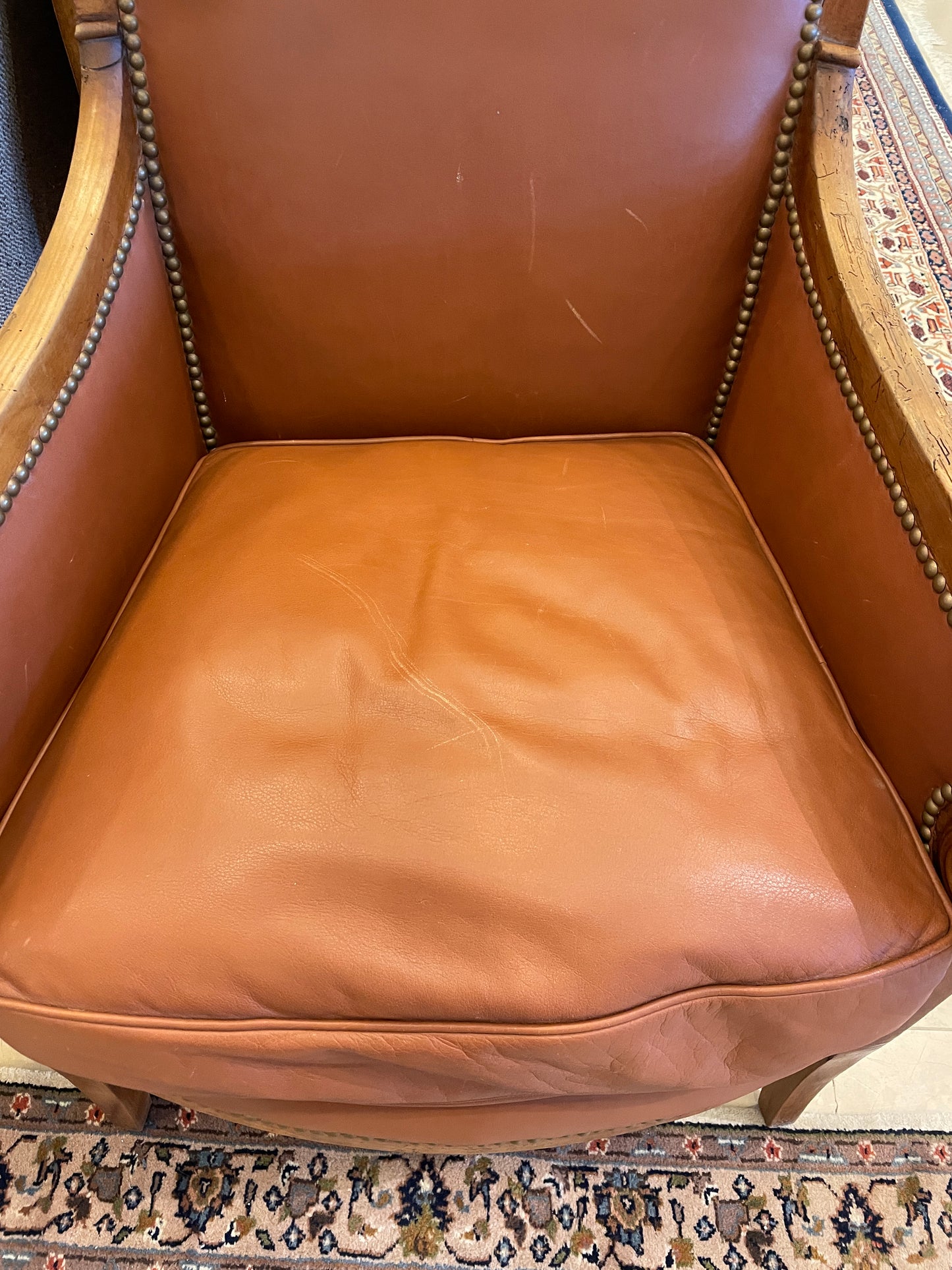 19th Century Charles X Leather Bergère Chair (0AG00E)