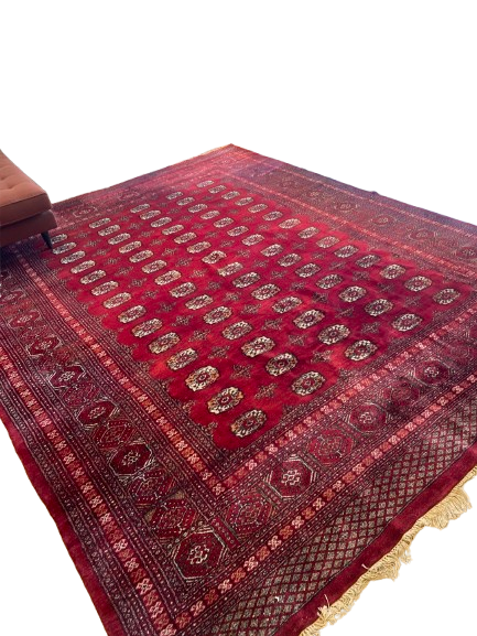 9x12 Bokhara Rug, Wool (0EG008)