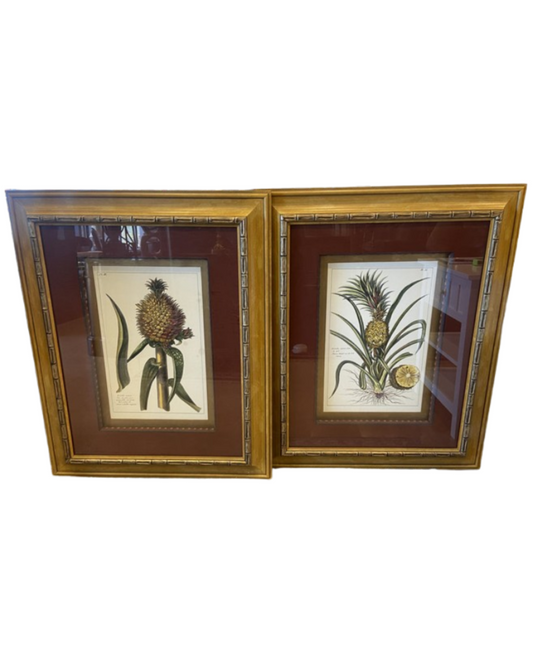 Pair of Pineapples from CAI Design (BWN4BW)