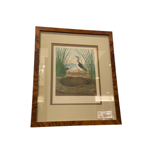 Audubon Octavo Red Diver (17410)