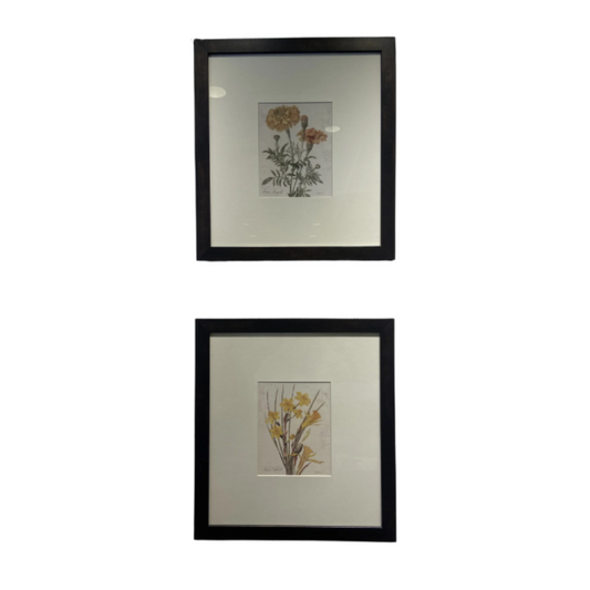 Decorative Arts Framed Pair of Botanical Prints (N3AQZ7)