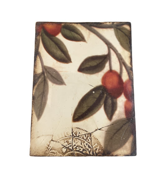 Sid Dickens T100 Plums (0QP00P)