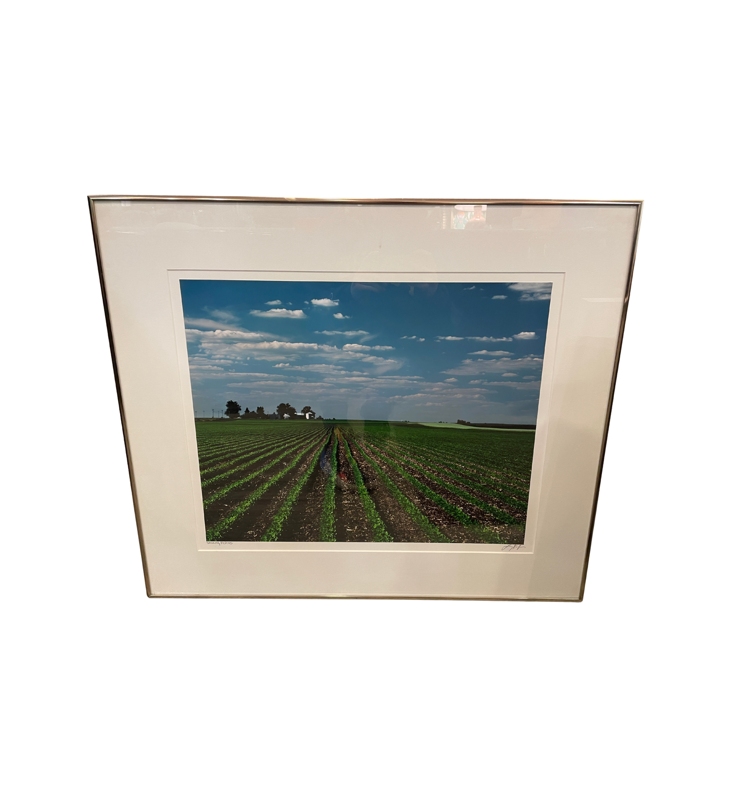 Larry Kanfer "Walking Beans" Photograph (0ND00J)