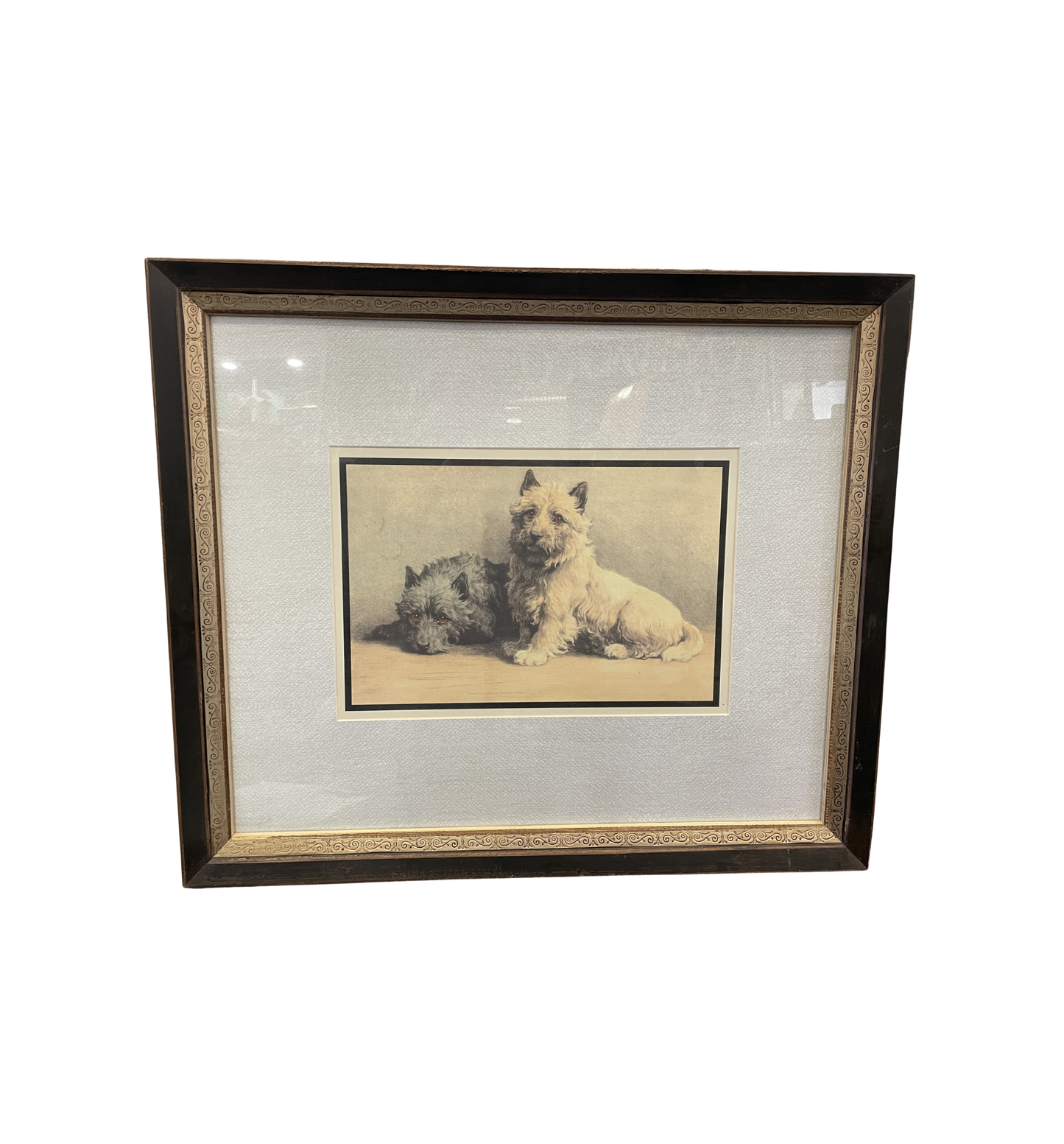 Herbert Dicksee Cairn Terriers Lithograph (0ND003)