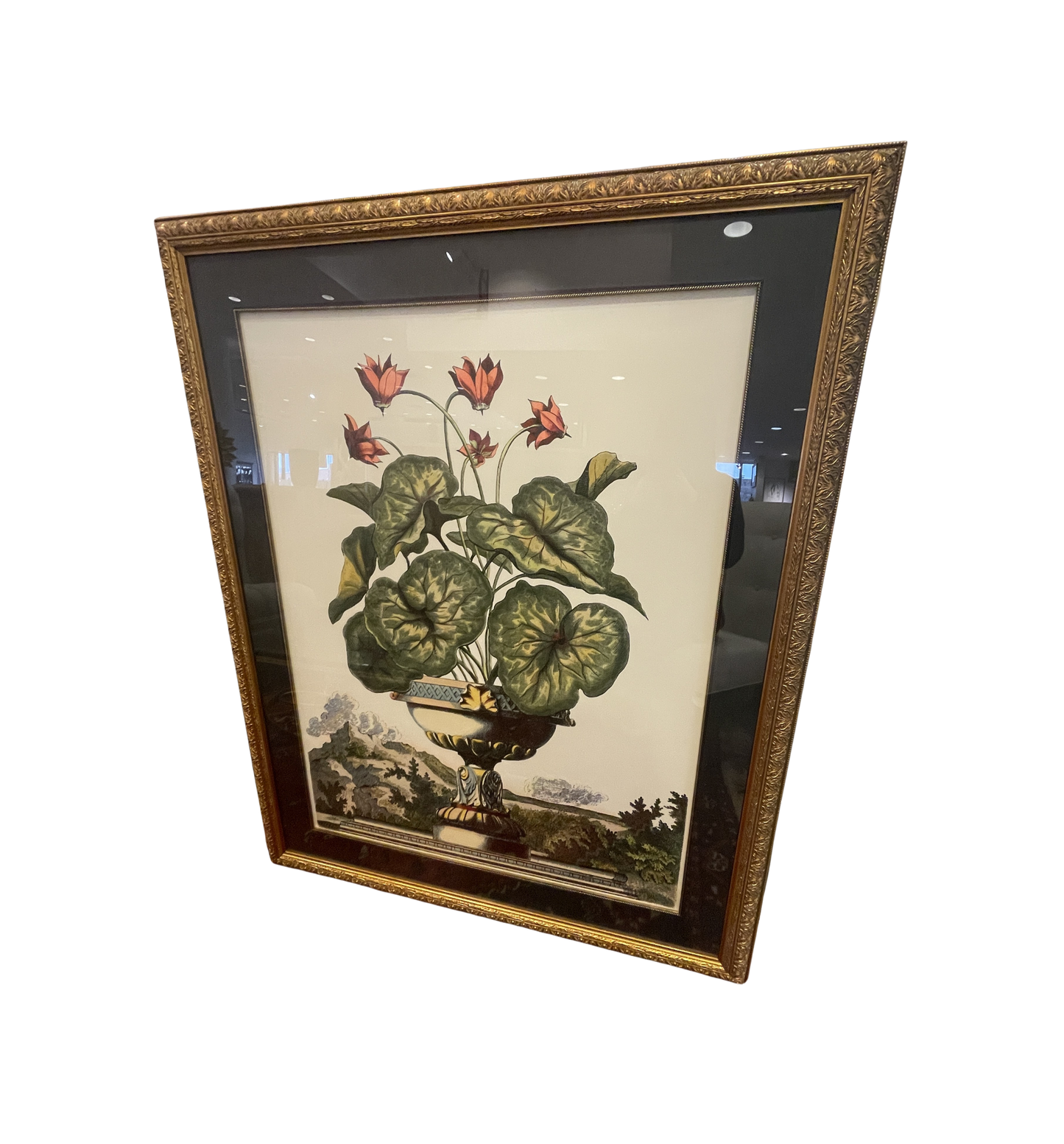 John Richard Botanical, Extra Large (0KO001)