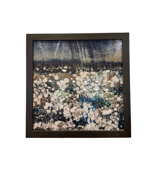 Craig Brabson Photograph on Acrylic, Barnacles (0IJ003)