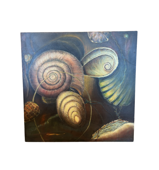 J. Drury Seashells (0KY00B)