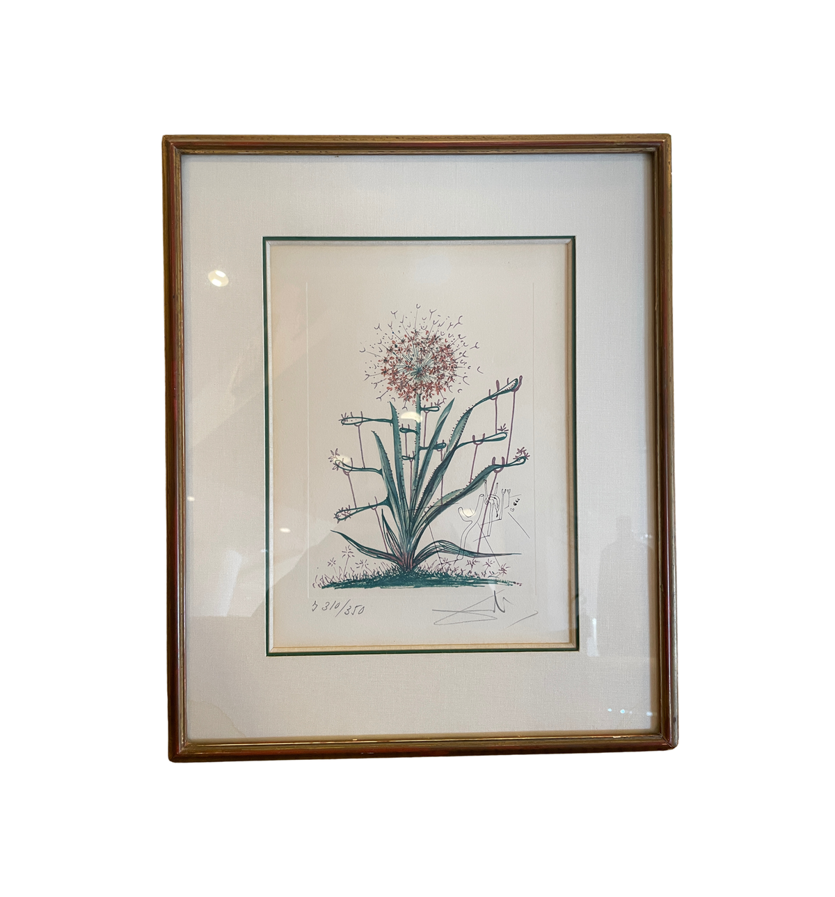Dali "Cactus les Béquilles" Litho, AS IS (0P5001)