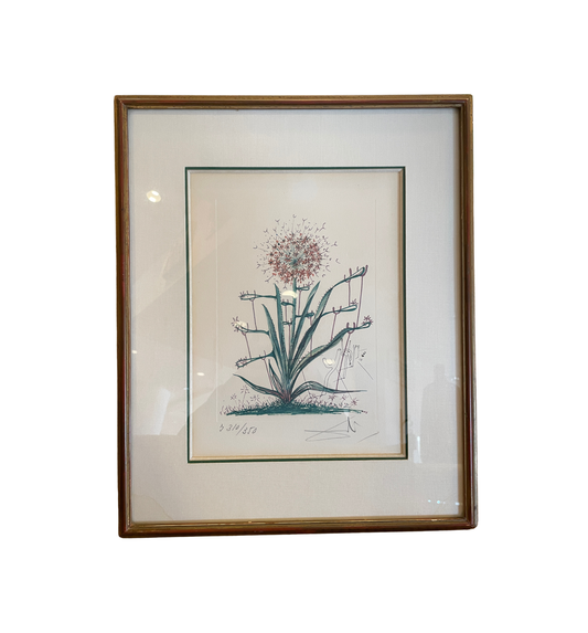 Dali "Cactus les Béquilles" Litho, AS IS (0P5001)