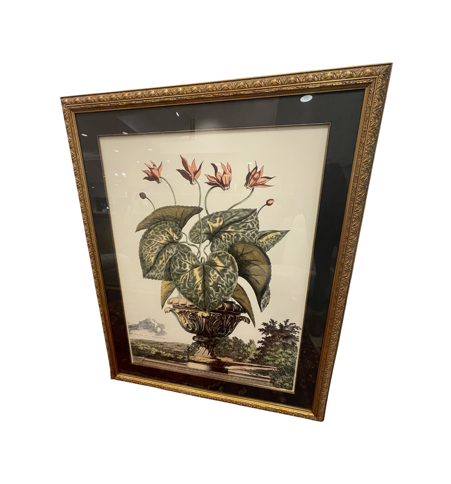 John Richard Botanical, Extra Large (0KO002)