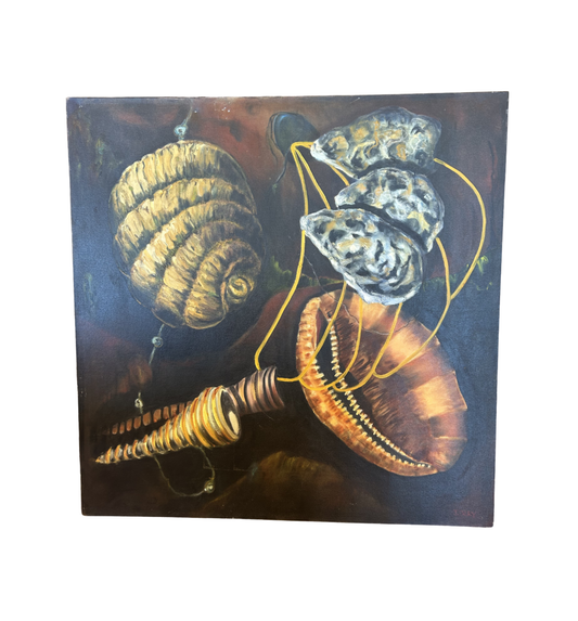 J. Drury Seashells (0KY00C)