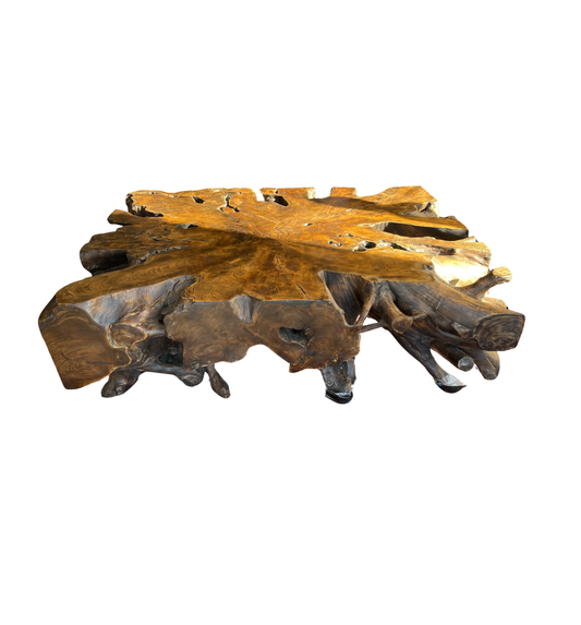 Andrianna Shamaris Teak Root Coffee Table (0HV002)