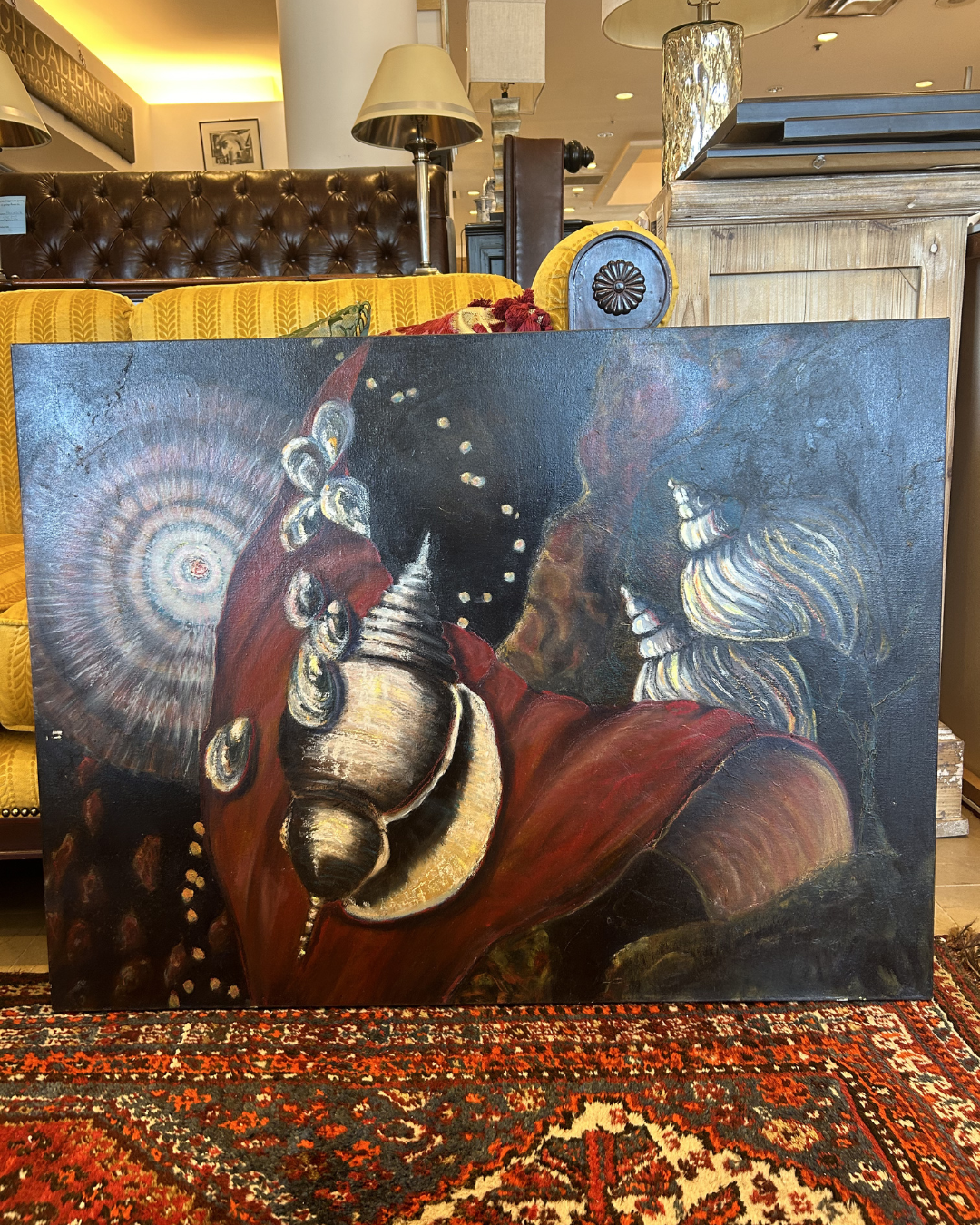 J. Drury Seashells (0KY00A)