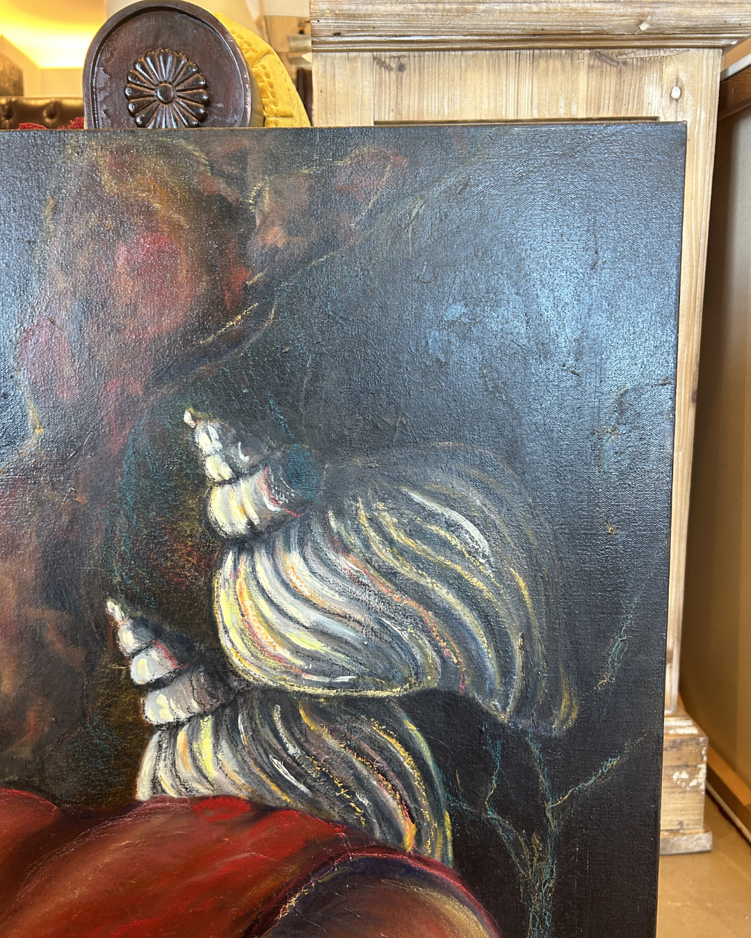 J. Drury Seashells (0KY00A)