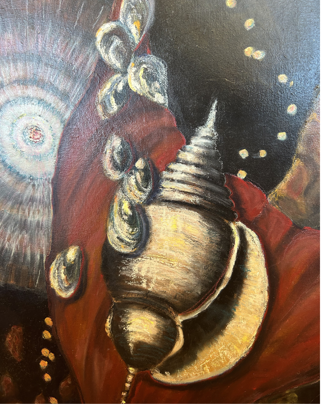 J. Drury Seashells (0KY00A)