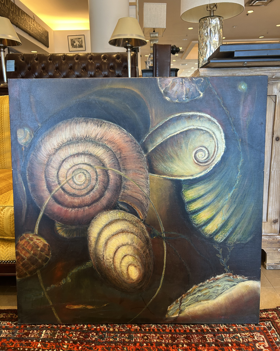 J. Drury Seashells (0KY00B)