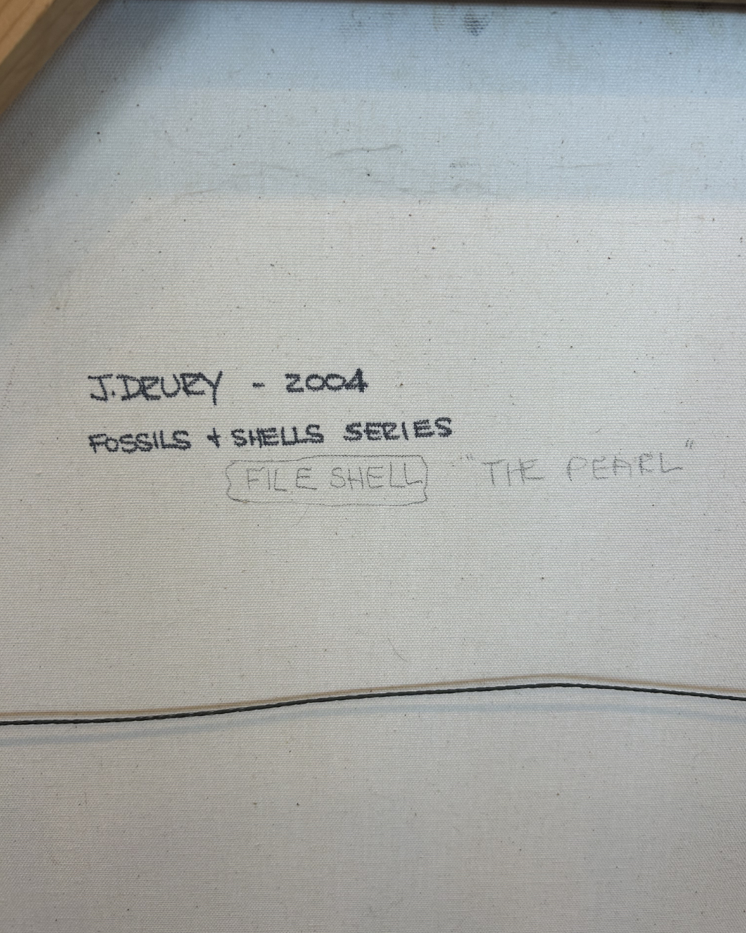 J. Drury Seashells (0KY00B)