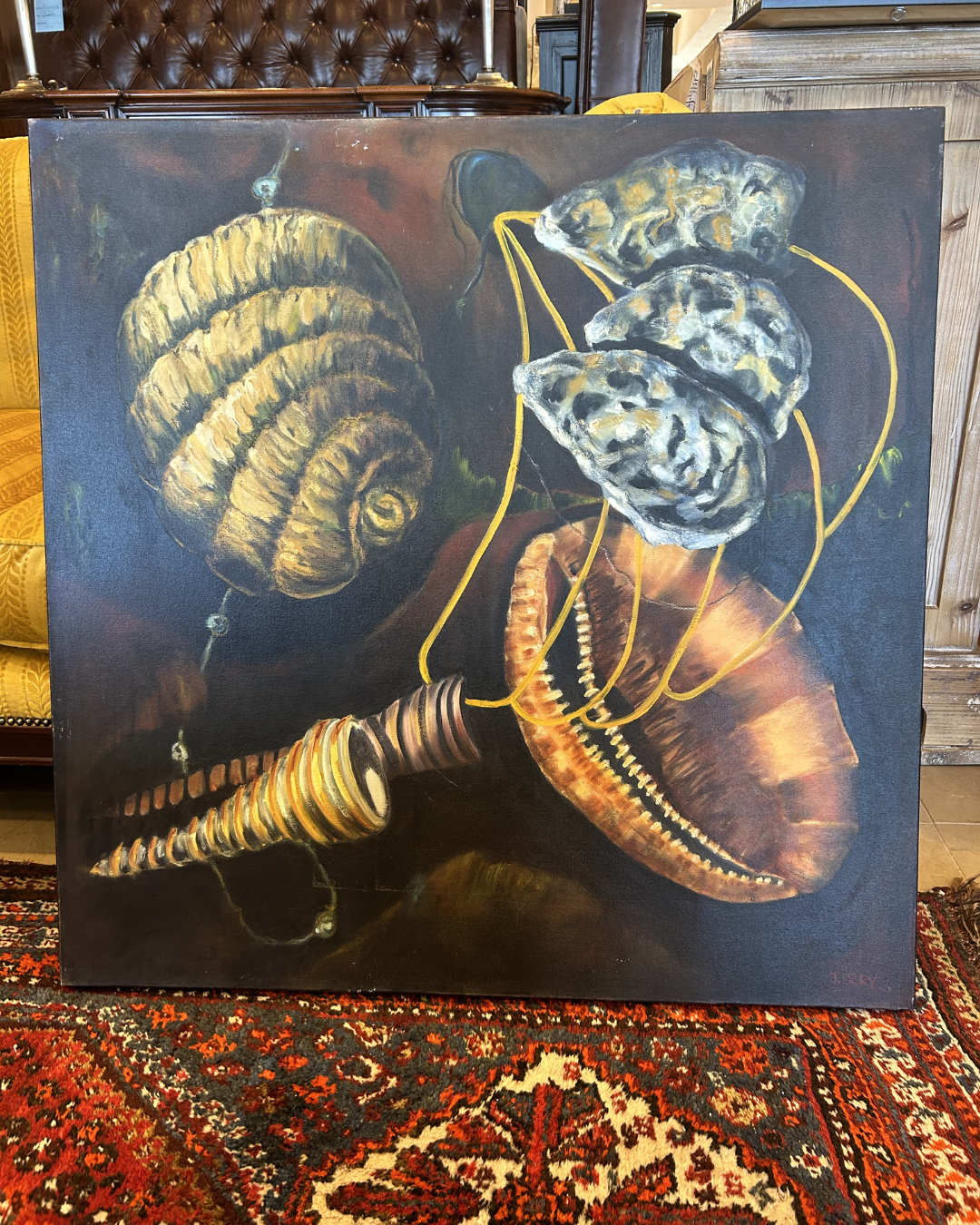 J. Drury Seashells (0KY00C)