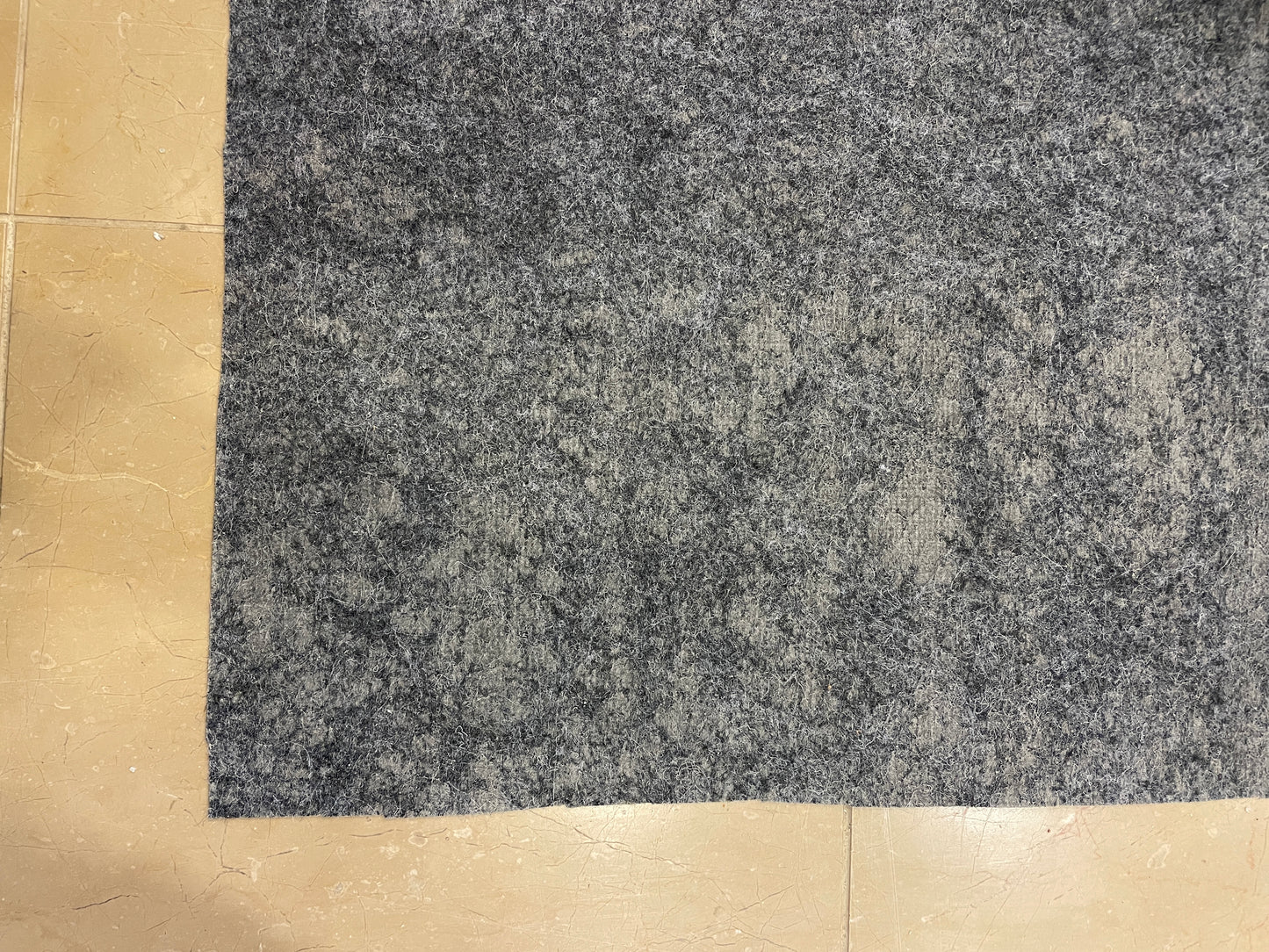 Surya Machine Made Rug (8x10) (09O005)