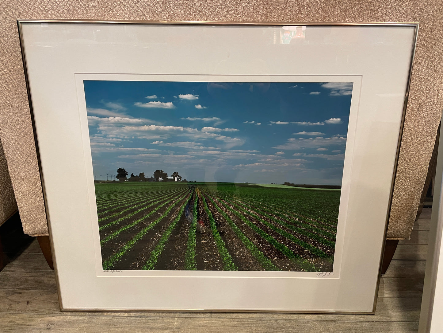 Larry Kanfer "Walking Beans" Photograph (0ND00J)