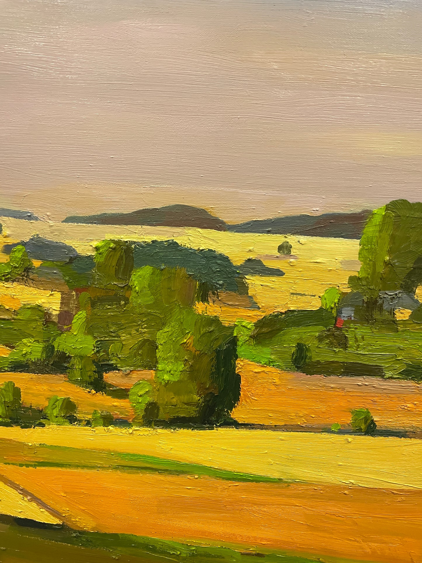 Michael Collins Acrylic "Rolling HIlls", AS IS (0ND00E)