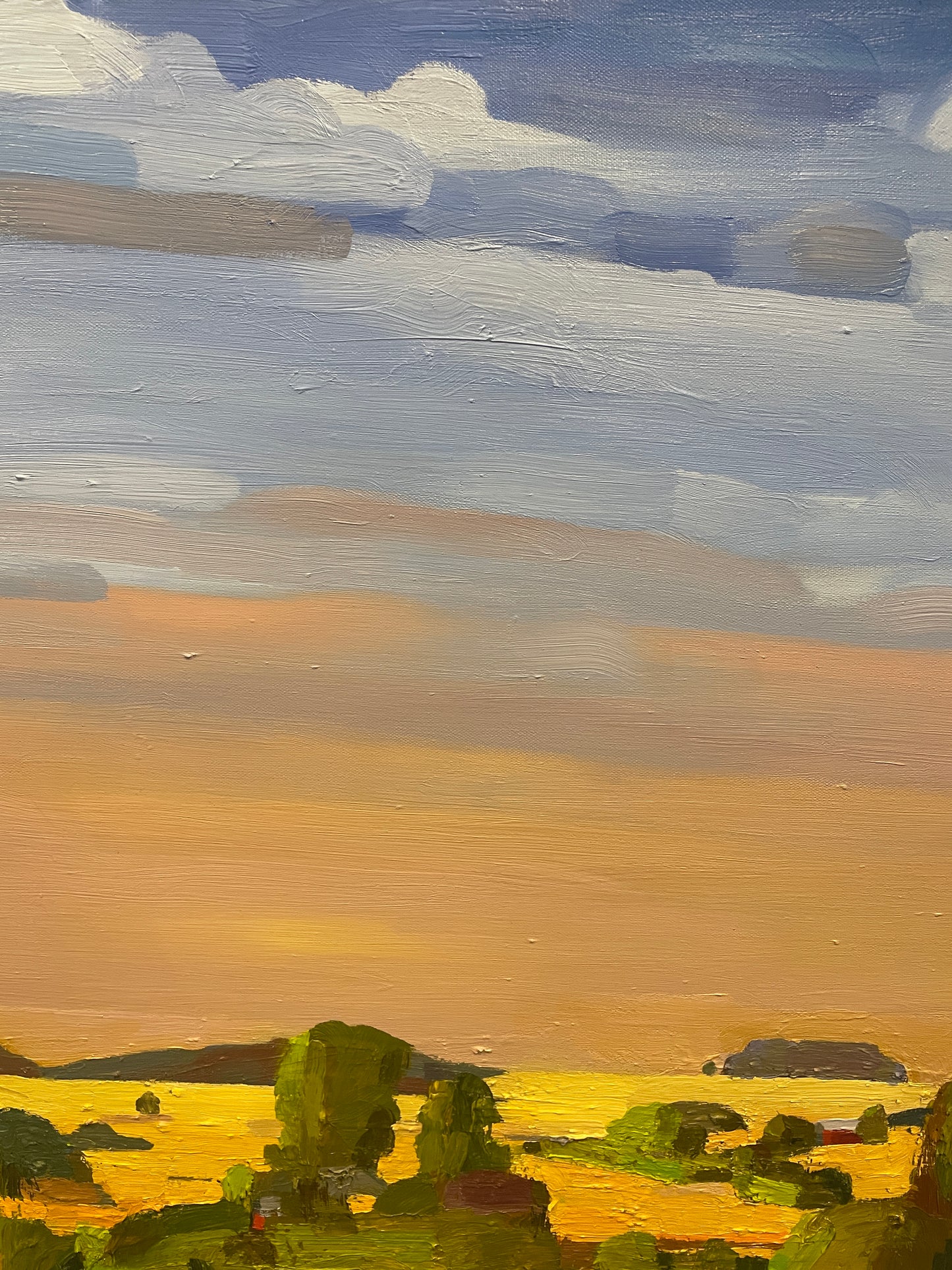 Michael Collins Acrylic "Rolling HIlls", AS IS (0ND00E)